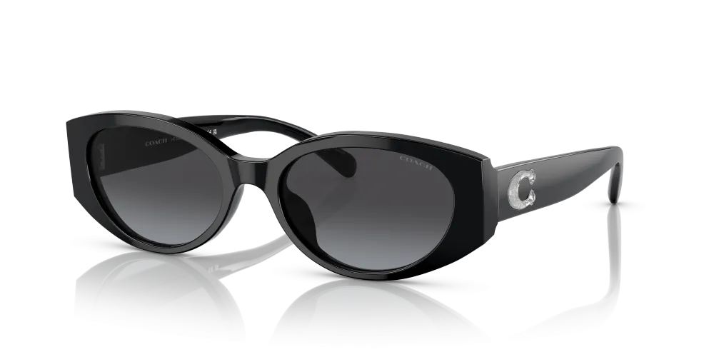 Coach Oval Non-Polarized Sunglasses - Black/Gray Gradient