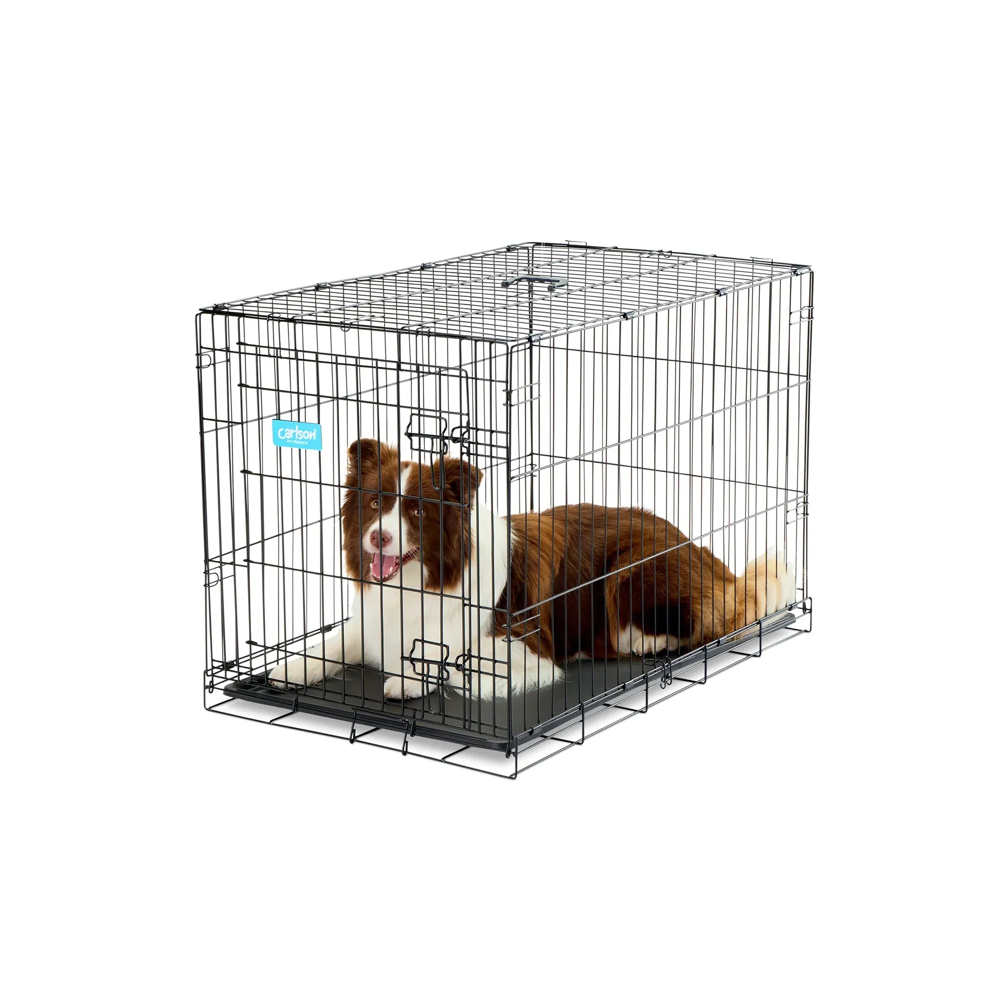 Intermediate Single-Door Dog Crate